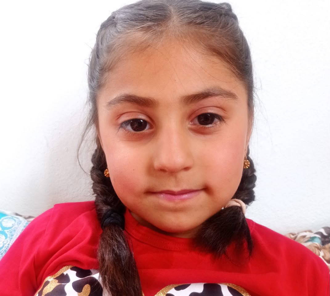 bisikletiyle duvardan dusen 9 yasindaki havva hayatini kaybetti 0 14hHXN4S