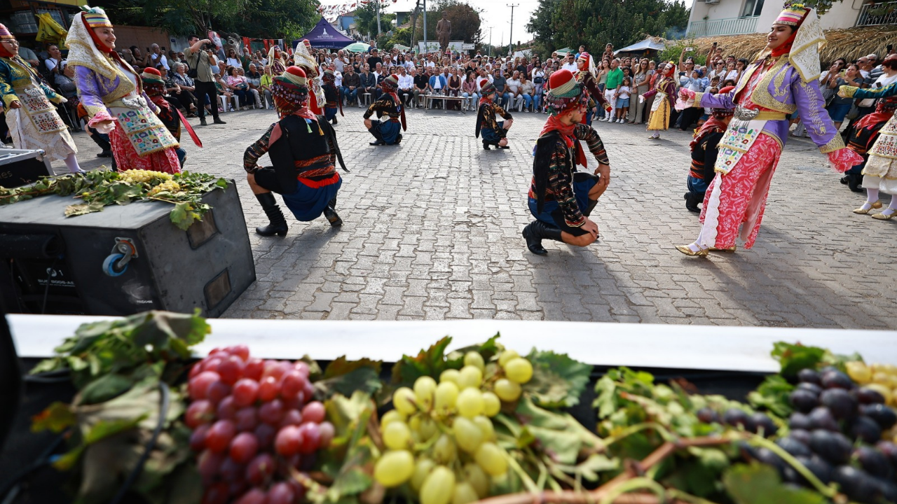 Gökçealan coğrafi işaretli Osmancık üzümü ile şenlendi