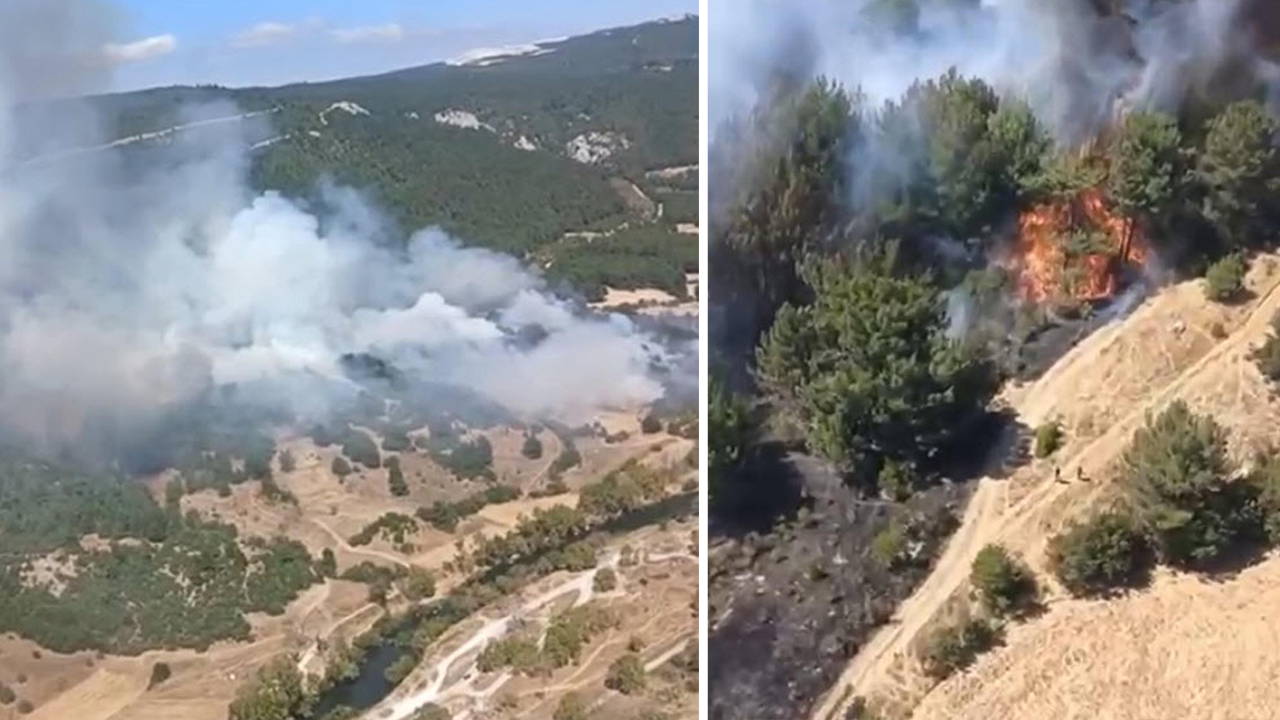 Son dakika… Balıkesir’de orman yangını: Müdahale başladı!