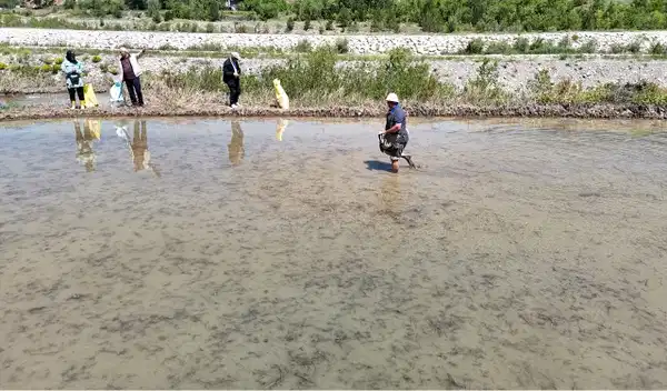 su cekilmeden girilemiyor turk mutfaginin vazgecilmezinde 40 gunluk dev mesai basladi 6vvM616t