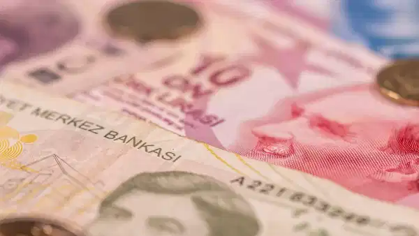 vergi borcu e devletten nasil sorgulanir ve odenir e devlet uzerinden aninda sorgulama ve odeme rehberi a7rLO5K9
