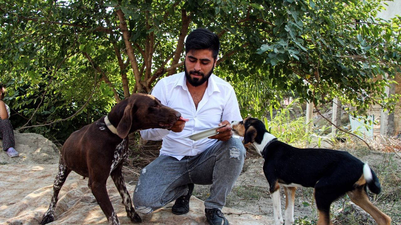 Adana’da uyuyan köpeğe sopalı saldırı: Serbest bırakılan komşuya tepki yağdı
