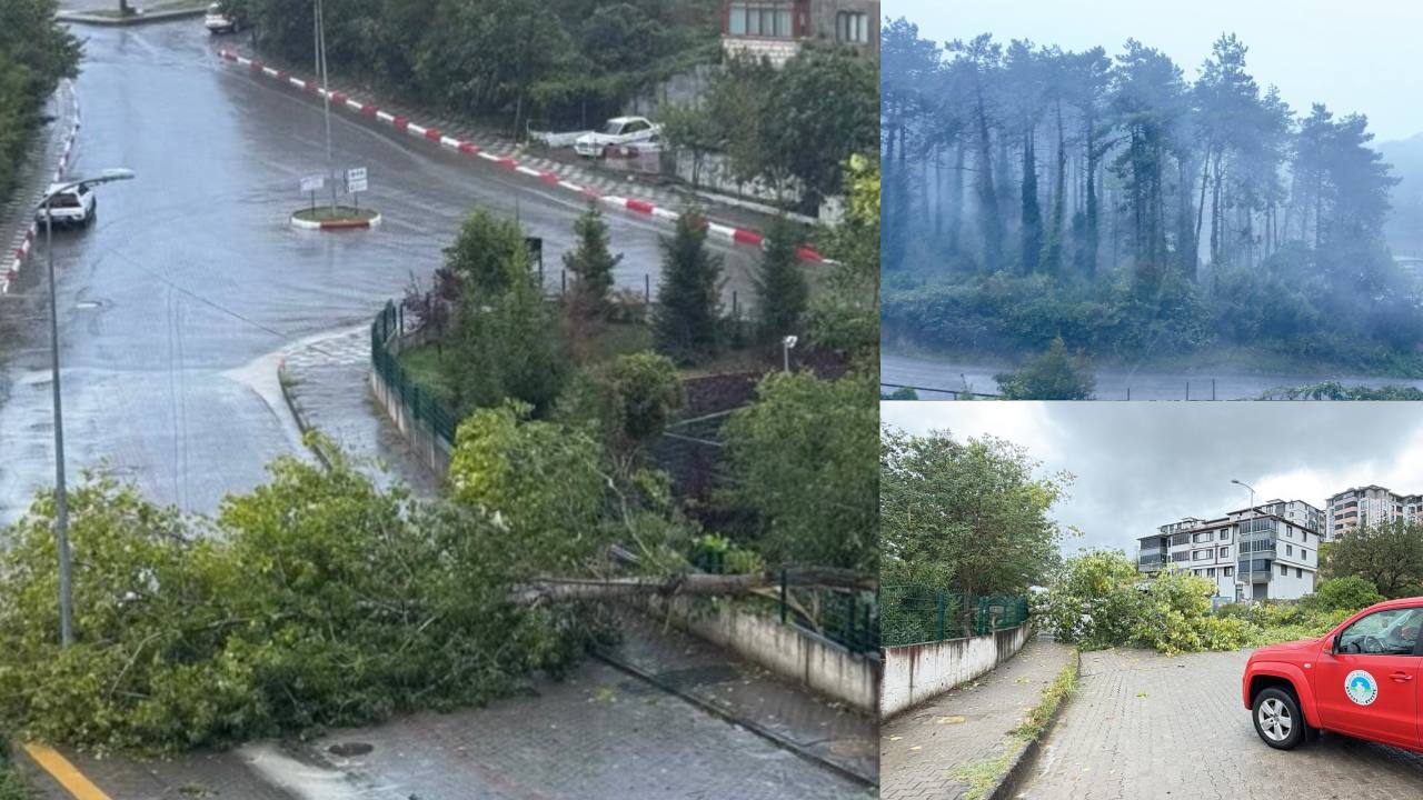 Bartın’da kuvvetli rüzgar… Elektrik direkleri devrildi, asansörlerde mahsur kalanlar oldu