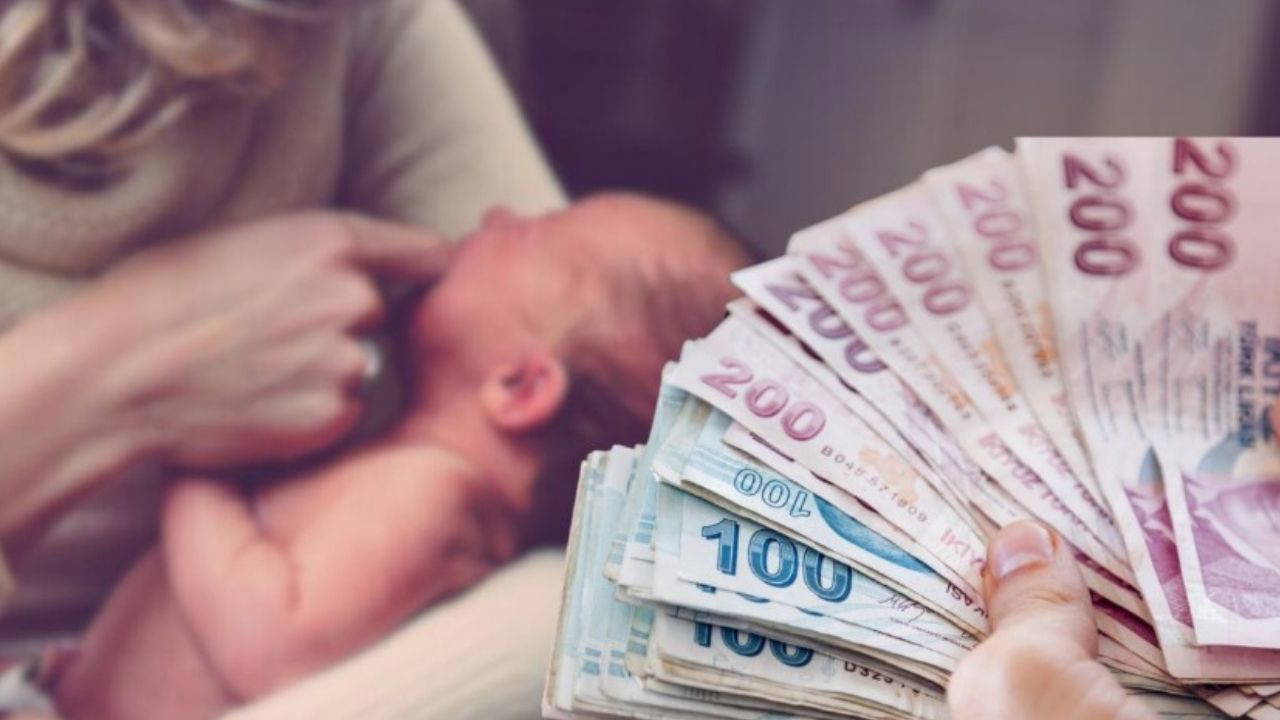 dogum rapor parasi nasil hesaplanir basvuru ve odeme takibi 0