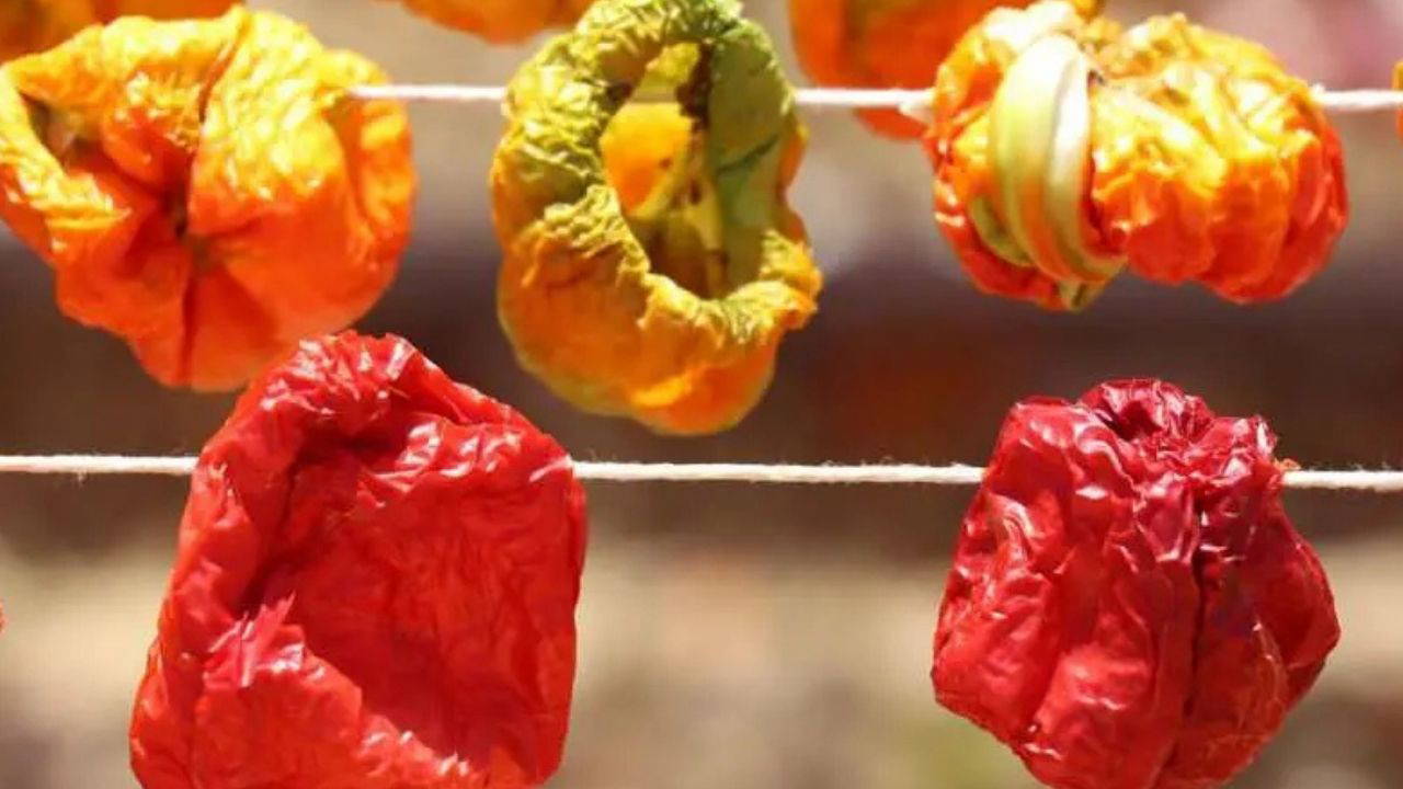 ipe dizerken catlamasin kisin aci olmasin dolmalik patlican ve biber kurutmanin altin kurallari 0 TVGA1p3l