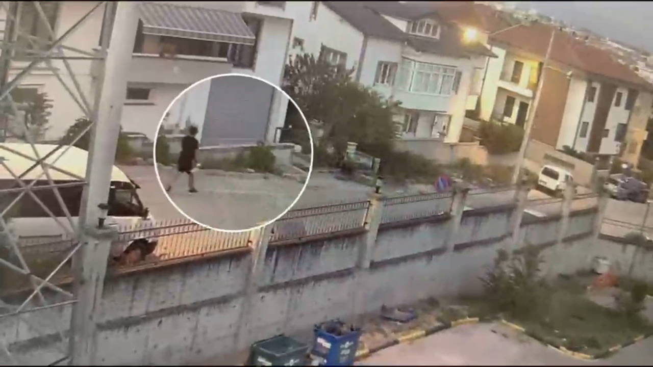 Sakarya'da 2,5 milyon liralık vurgun: 1 kişi tutuklama 2 sakaryada 25 milyon liralik vurgun 1 kisi tutuklama 0 2m7DiJSS