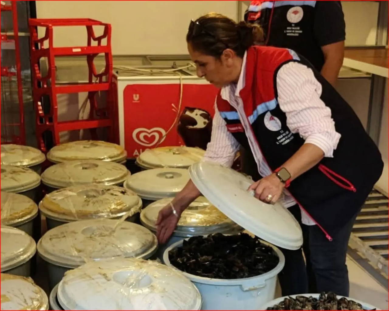 yurttaslara yedireceklerdi durdurulan aracta 650 kilo bozuk midye ele gecirildi 0 b85LYu81